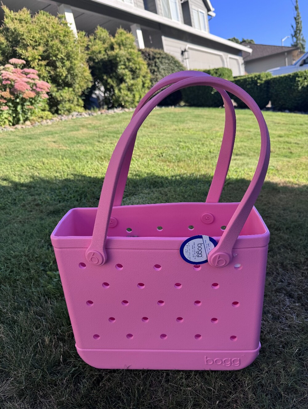 15" BOGG BAG Baby Watermelon‎ Pink Tote New with tags